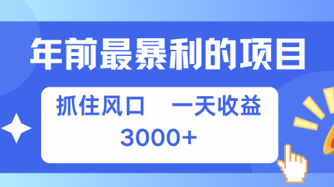 年前最赚钱的项目之一,可以过个肥年