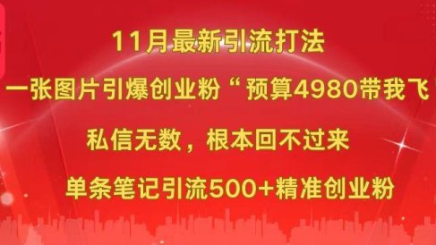 小红书11月最新图片打法,一张图片引爆创业粉“预算4980带我飞”,私信无数,根本回不过来,单条笔记引流500+精准创业粉