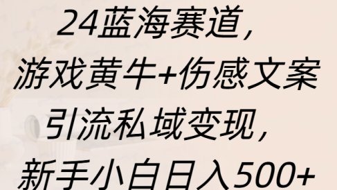 24蓝海赛道,游戏黄牛+伤感文案引流私域变现,新手日入500+