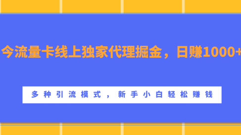 流量卡线上独家代理掘金,日赚1000+ ,多种引流模式,新手小白轻松赚钱