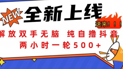 解放双手无脑 纯自撸抖音 两小时一轮500+