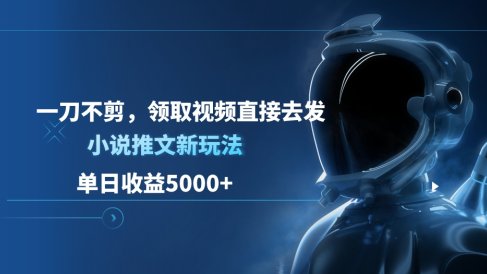 单日收益5000+,小说推文新玩法,一刀不剪,领取视频直接去发