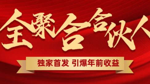 全聚合项目引爆年前收益!日入1000+小白轻松上手,效果立竿见影,暴力吸“金”