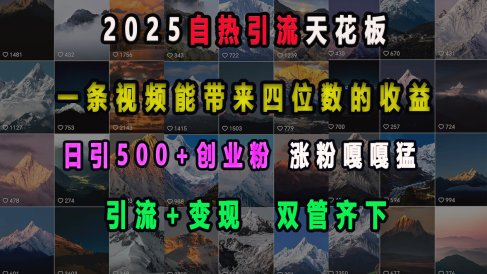 2025自热引流天花板,一条视频能带来四位数的收益,引流+变现双管齐下,日引500+创业粉,涨粉嘎嘎猛