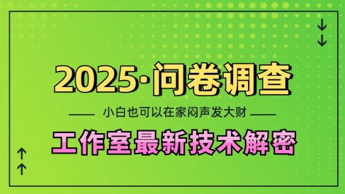 2025《问卷调查》最新工作室技术解密:一个人在家也可以闷声发大财,小白一天200+,可矩阵放大