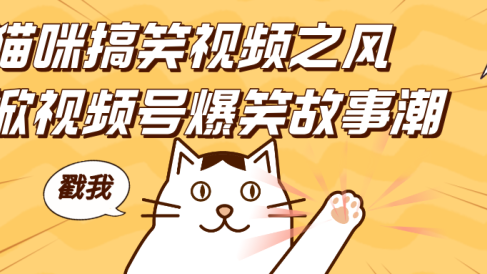 借猫咪搞笑视频之风，掀视频号爆笑故事潮，轻松日赚四位数，开启无门槛赚钱新体验！