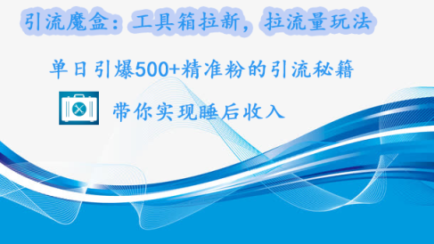 引流魔盒：工具箱拉新，拉流量玩法，单日引爆500+精准粉的引流秘籍，带你实现睡后收入