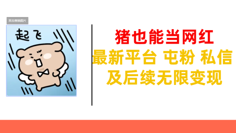 猪也能当网红-最新平台 屯粉 交流 私信 及后续无限变现