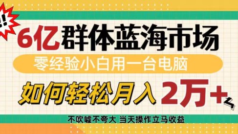 6亿群体蓝海市场,零经验小白用一台电脑,如何轻松月入2万+