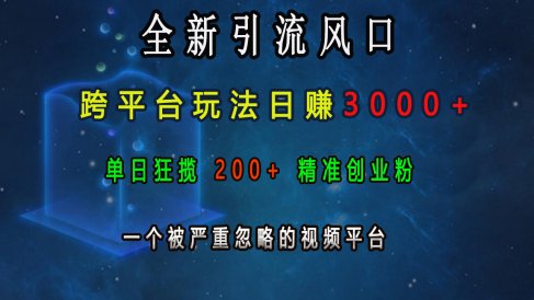 全新引流风口,跨平台玩法日赚3000+,单日狂揽200+精准创业粉,一个被严重忽略的视频平台