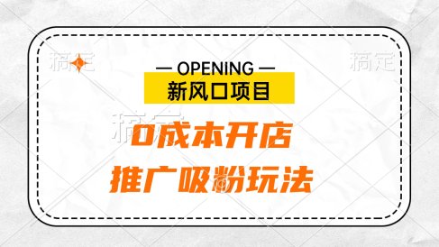 新风口项目、0成本开店、推广吸粉玩法