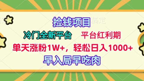 冷门全新捡钱平台,当天涨粉1W+,日入1000+,傻瓜无脑操作