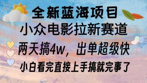 全新蓝海项目 小众电影拉新赛道 小白看完直接上手搞就完事了