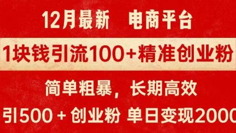 拼多多淘宝电商平台1块钱引流100个精准创业粉,简单粗暴高效长期精准,单人单日引流500+创业粉,日变现2000+