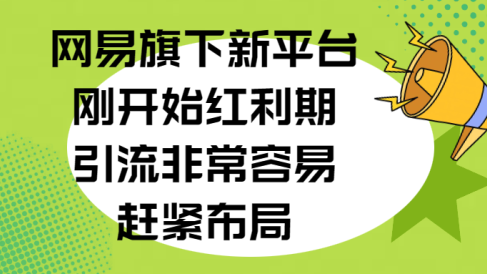 网易旗下新平台,刚开始红利期,引流非常容易,赶紧布局