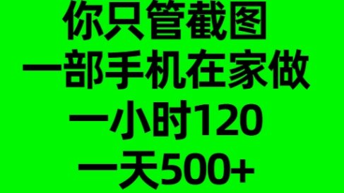 你只管截图,一部手机在家做,一小时120,一天500+