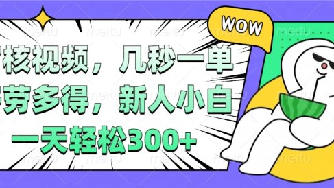 视频审核项目,几秒一单,多劳多得,新人小白一天轻松300+