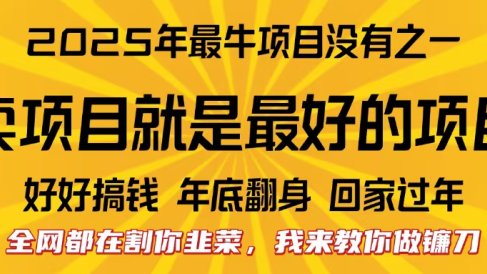 全网都在割你韭菜,我来教你做镰刀。卖项目就是最好的项目,2025年最牛互联网项目