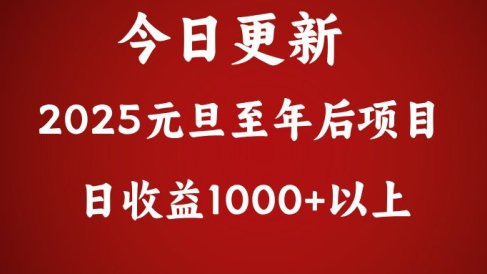翻身项目,日收益1000+以上