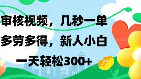 审核视频,几秒一单,多劳多得,新人小白一天轻松300+
