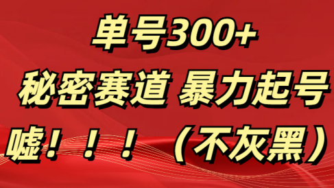 单号300+ 秘密赛道 暴力起号 (不灰黑)