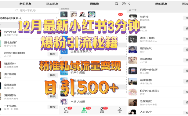 12月最新小红书3分钟爆粉引流秘籍,精准私域流量变现 日引500+