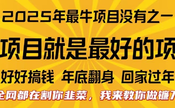 全网都在割你韭菜,我来教你做镰刀。卖项目就是最好的项目,2025年最牛互联网项目