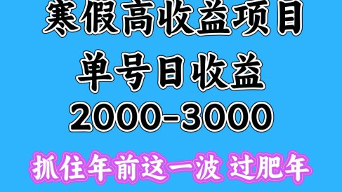 寒假期间一天收益2000-3000+,抓住年前这一波