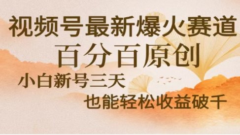 视频号独家玩法,老年养生赛道,无脑搬运爆款视频,日入2000+