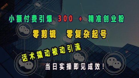 小额付费引爆 300 + 精准创业粉,零剪辑、零复杂起号,话术撬动被动引流,当日实操即见成效!