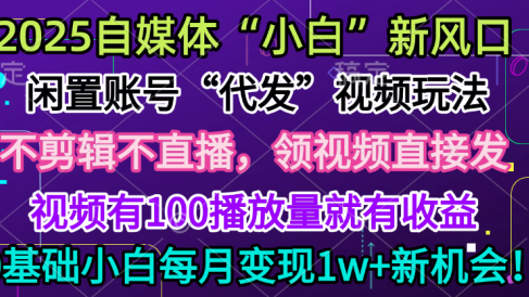 2025每月躺赚5w+新机会,闲置视频账号一键代发玩法,0粉不实名不剪辑,领了视频直接发,0基础小白也能日入300+