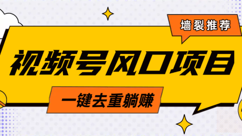 视频号风口蓝海项目,中老年人的流量密码,简单无脑,一键去重,轻松月入过万
