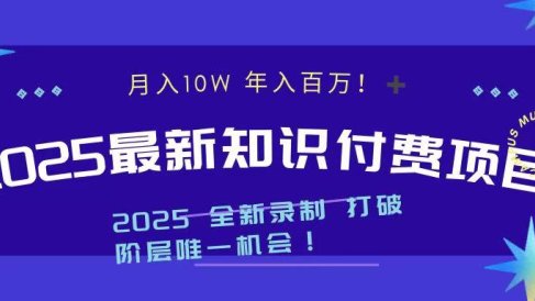 2025最新知识付费项目 实现月入十万,年入百万!