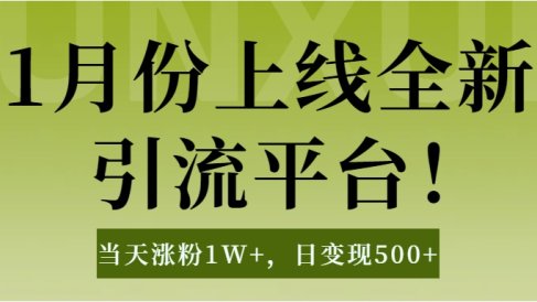 1月上线全新引流平台,当天涨粉1W+,日变现500+工具无脑涨粉,解放双手操作简单