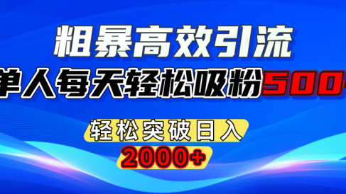 粗暴高效引流,单人每天轻松吸粉500+,轻松突破日入2000+