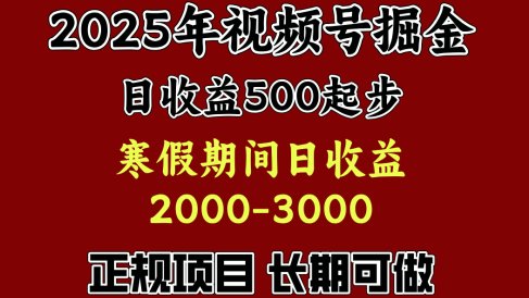 寒假期间一天收益2000+,小白一天就能上手