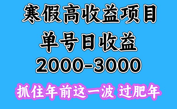 寒假期间一天收益2000-3000+,抓住年前这一波