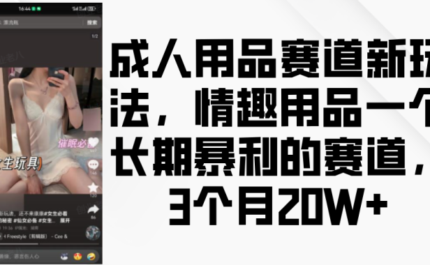 情趣用品一个长期暴利的赛道,成人用品赛道新玩法,3个月20W+