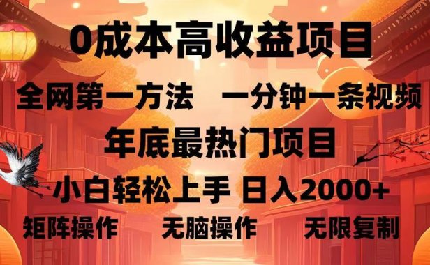 0成本高收益蓝海项目,一分钟一条视频,年底最热项目,小白轻松日入2000+