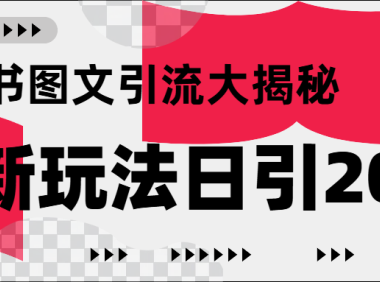 小红书图文引流,只需一张图片即可撬动百万流量,日引200+创业粉