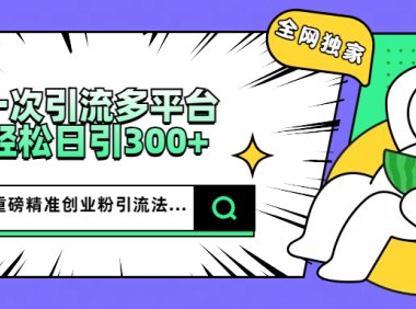 2025重磅全网独家引流法,一次多平台,轻松日引300+精准创业粉