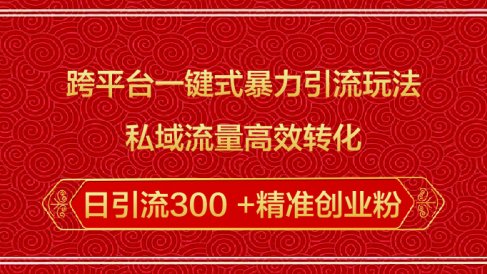 跨平台一键式暴力引流玩法,私域流量高效转化日引流300 +精准创业粉