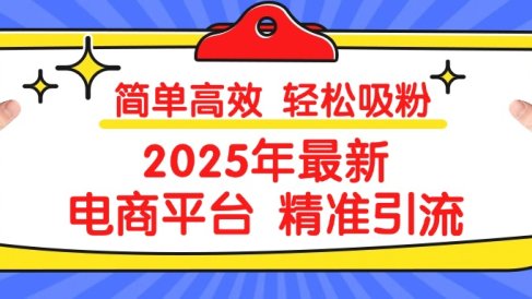 2025年最新电商平台精准引流 简单高效 轻松吸粉