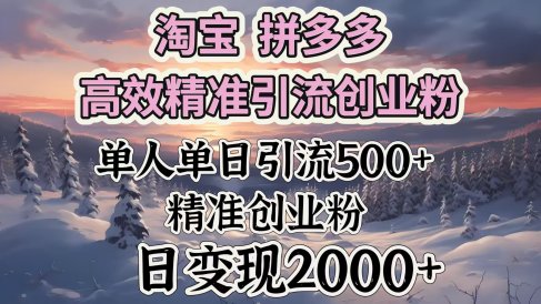 淘宝拼多多高效精准引流创业粉,单人单日引流500+创业粉,日变现2000+