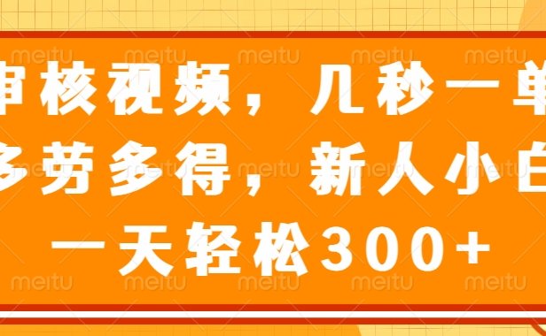 审核视频项目,几秒一单,多劳多得,新人小白一天轻松300+