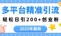2025年最新多平台精准引流,轻松日引200+