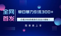 全网首发,价值3980单日暴力引流300+的精准引流法大揭秘!
