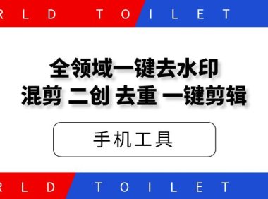 全领域一键去水印,混剪,二创,去重一键剪辑