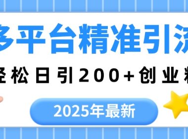 2025年最新多平台精准引流,轻松日引200+