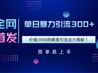 全网首发,价值3980单日暴力引流300+的精准引流法大揭秘!